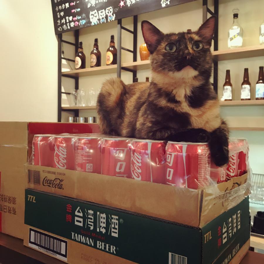 No. 55 Hostel 난간 외부 사진